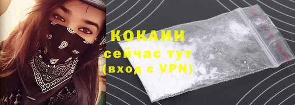 кокс Алексин