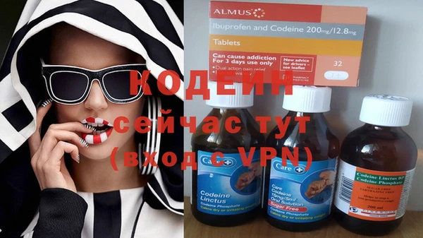 кокс Алексин