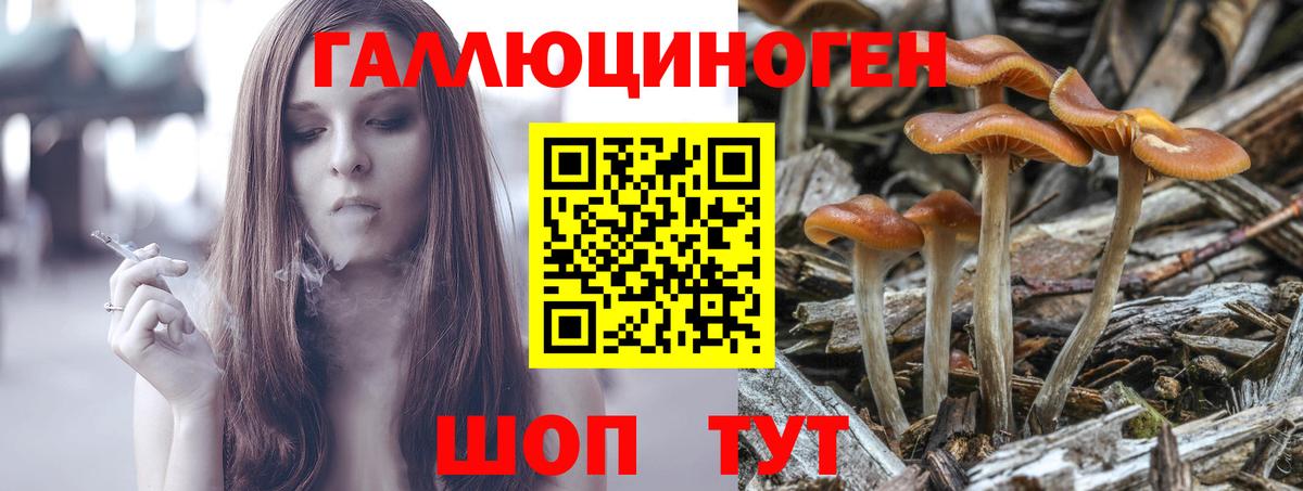 Галлюциногенные грибы прущие грибы Энгельс