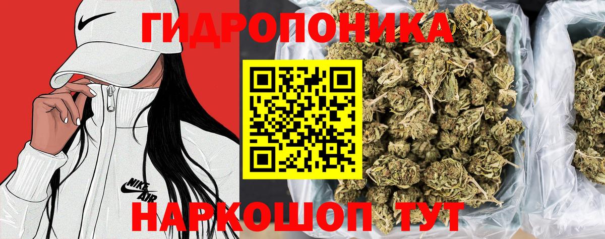 МАРИХУАНА OG Kush Энгельс